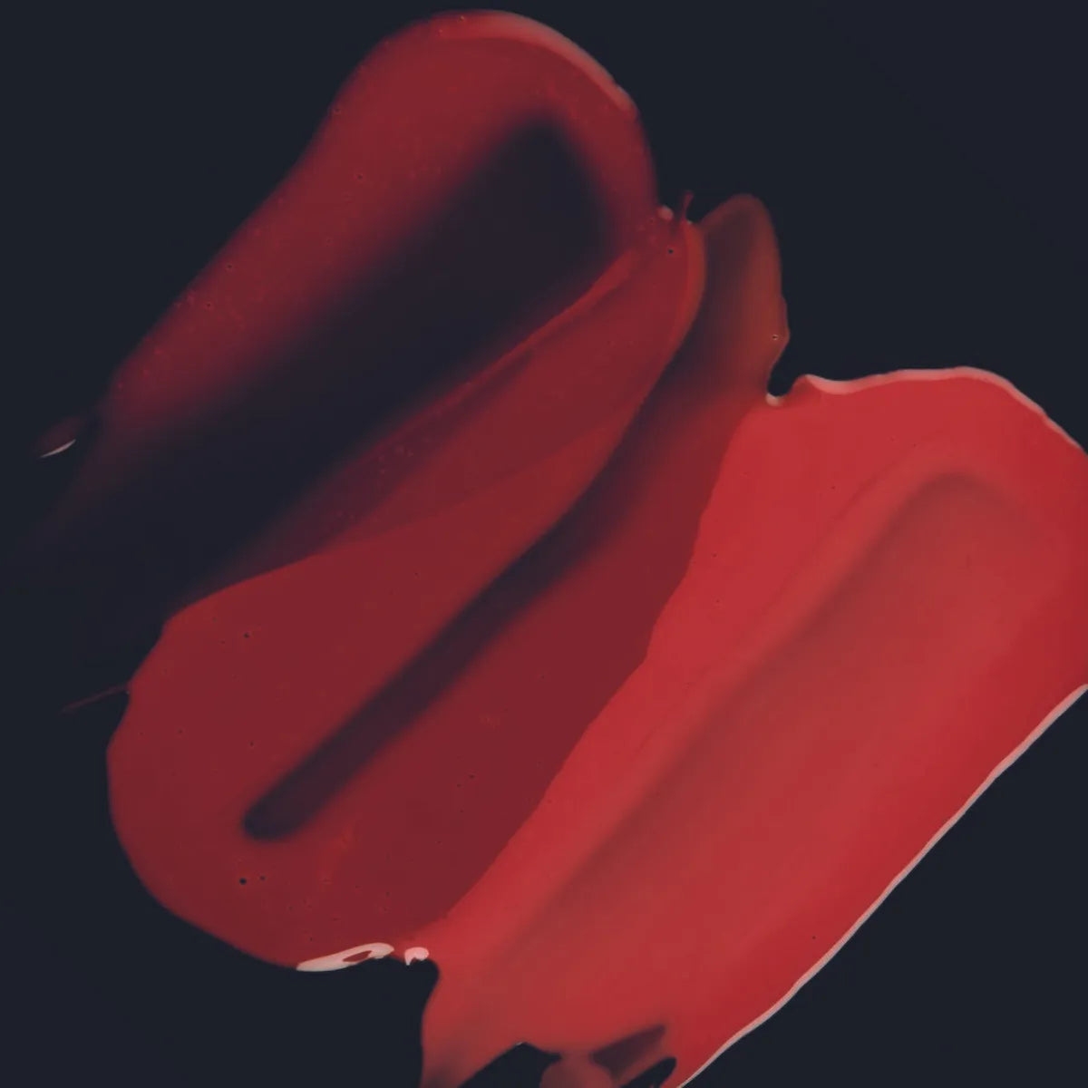 Glosslicious Kit Fran - Fran By Franciny Elkhe